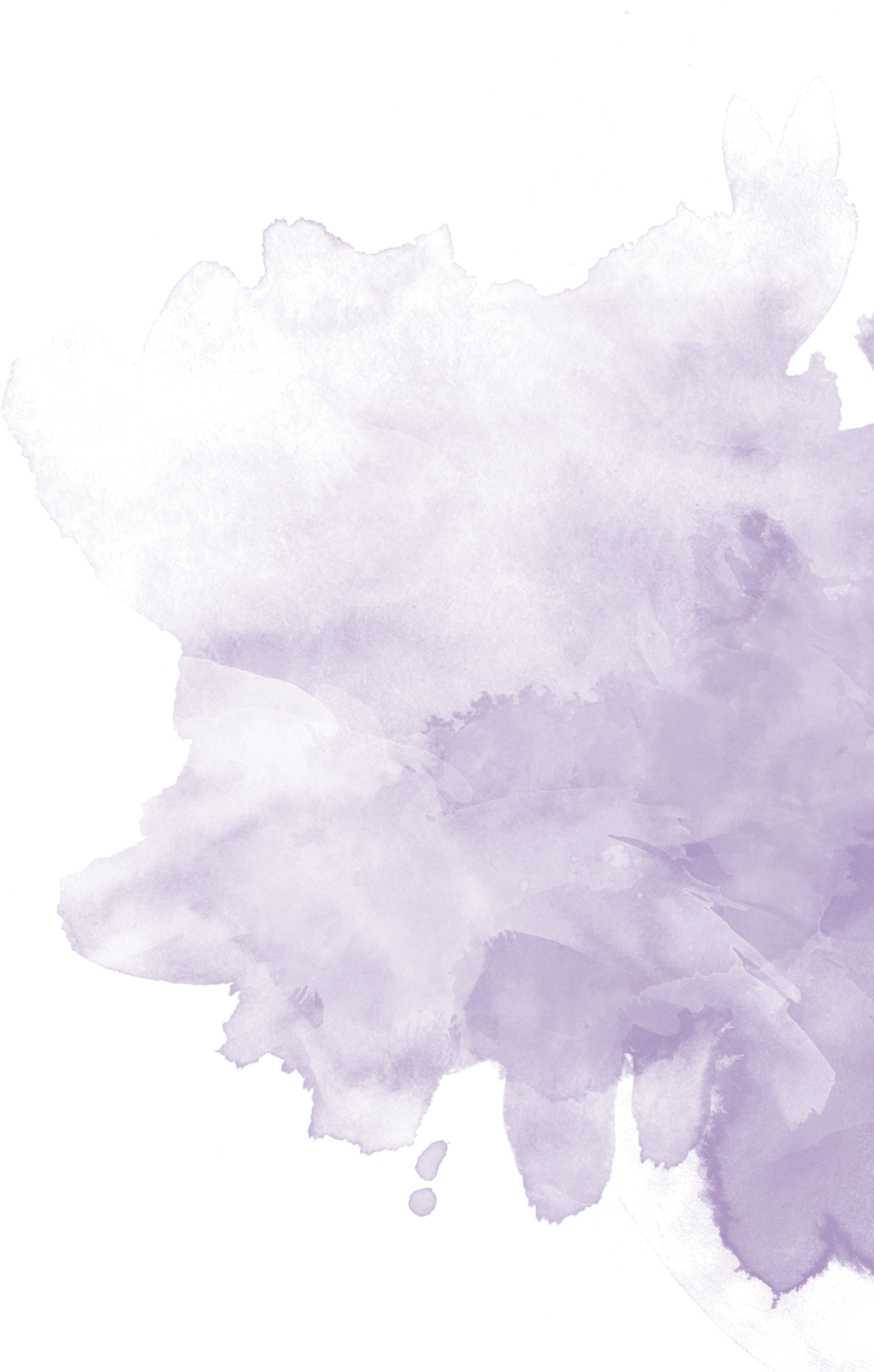 RN Paint 2