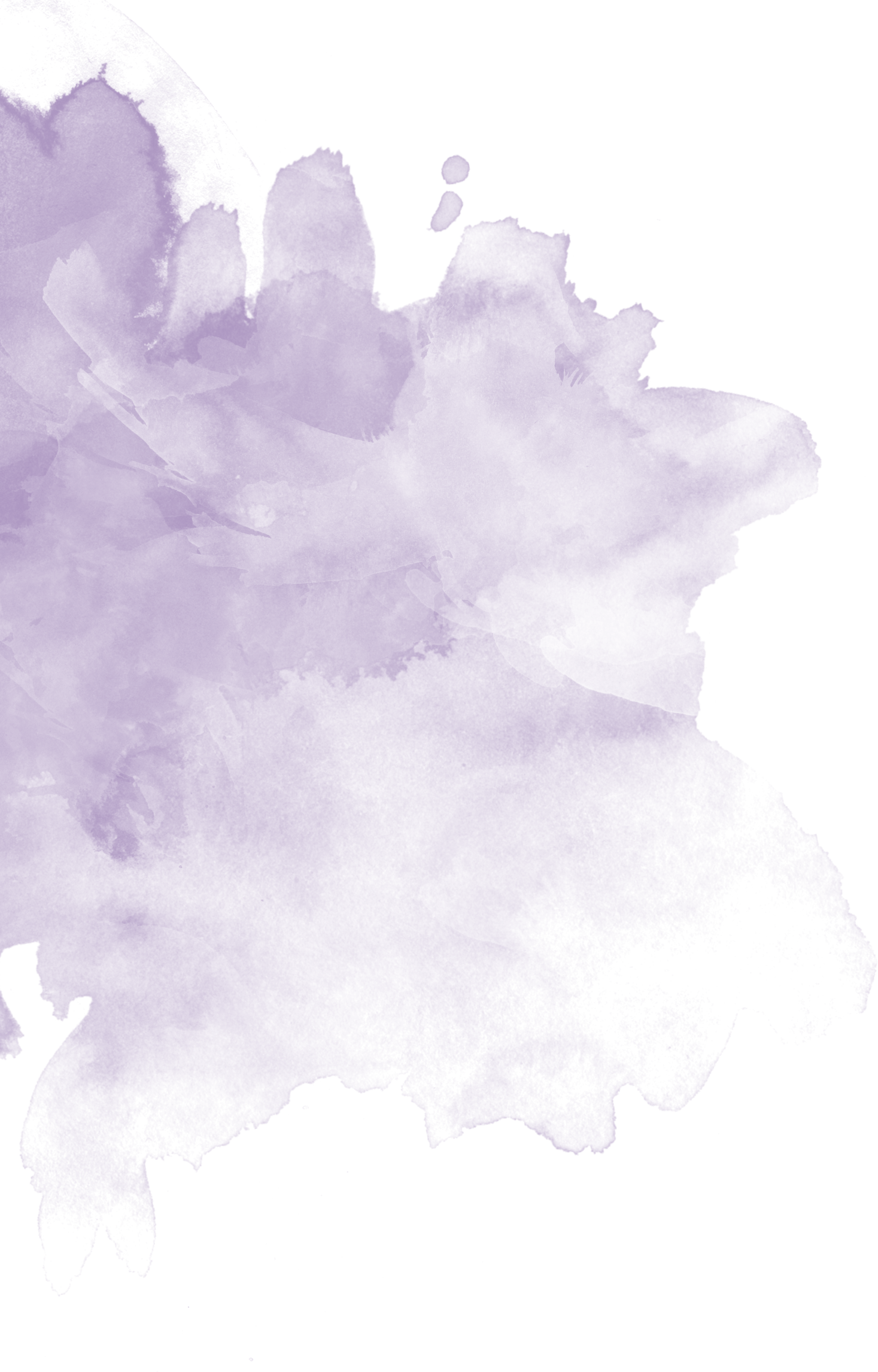 RN Paint 2 RN Paint 2